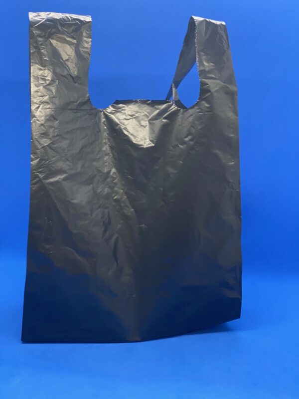 Bolsa-ecologica-de-asa.jpg